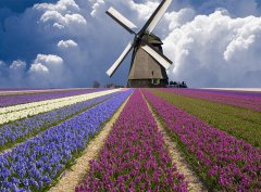 相学著作《神相金较剪》之面相三十问