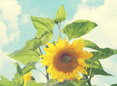 万科股权大戏中主角配角们的面相分析