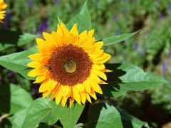 成长面相变化会透露出哪些玄机