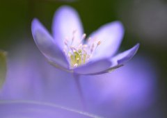 有成名机会的四大面相解析