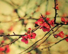 命带天赦就能消灾解难吗？