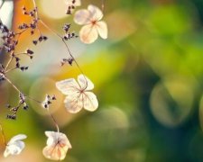 天乙贵人对人性格命运的影响