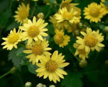 天德贵人对人性格命运的影响