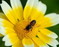 月德贵人对人性格命运的影响