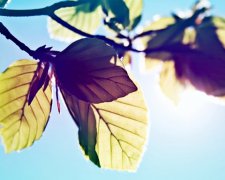 《神相水镜集全编》卷一