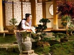 凤凰男和孔雀女的长相特征解读