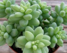 什么日子出生的人婚姻不受摆布