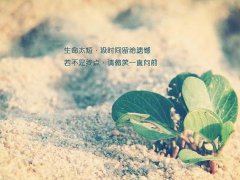 2017年适合属羊人的霸气微信网名