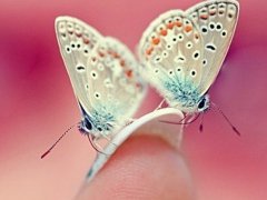 2017搞笑幽默的微信网名