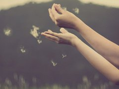 2017年经典的小清新微信网名
