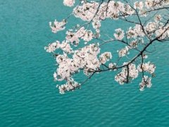2017年文艺范的微信网名