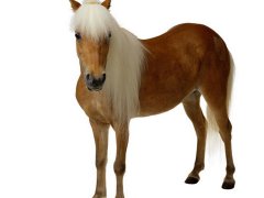 2017年古香古色的qq网名