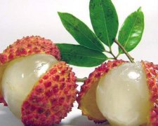 甲木生于申月如何取用神