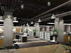 办公室摆放什么花卉风水好