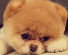 对天秤男要忽冷忽热吗