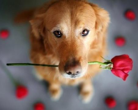 对天蝎男要忽冷忽热吗 起名网