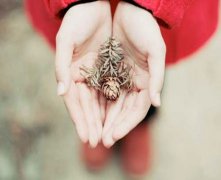 各色各样指甲类别哪种手相好
