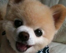 2017年1月开工装修的黄道吉日查询