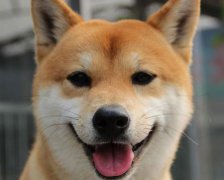 2017年2月开工装修的黄道吉日查询