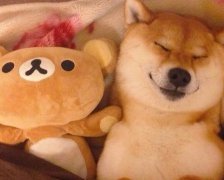 2017年3月开工装修的黄道吉日查询