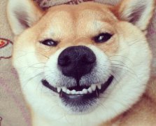 2017年5月开工装修的黄道吉日查询