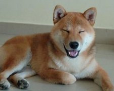 2017年6月开工装修的黄道吉日查询
