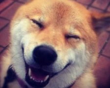2017年7月开工装修的黄道吉日查询