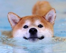 2017年11月开工装修的黄道吉日查询