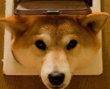 2017年12月开工装修的黄道吉日查询