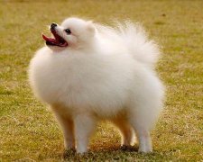 2017年3月生宝宝黄道吉日查询