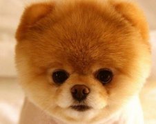 2017年9月生宝宝黄道吉日查询