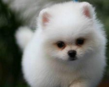 2017年10月生宝宝黄道吉日查询