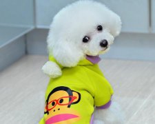 2017年3月适合理发的黄道吉日查询