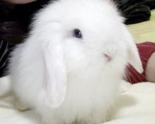 2017年8月出行吉日查询