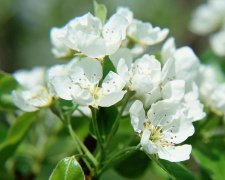 2017年5月适合破土的黄道吉日查询