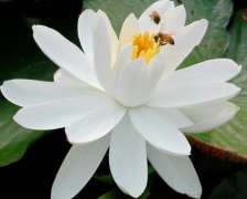 2017年11月适合破土的黄道吉日查询