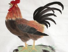 1981年属鸡的最佳配偶属相 81年属鸡的和什么生肖最配