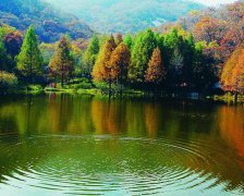 2017年9月适合纳财的黄道吉日查询