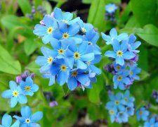 2017年4月适合上梁的黄道吉日查询