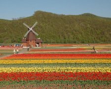 2017年重阳节是哪一天 2017年重阳节是阳历几月几号