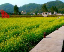 2017年中元节是哪一天 2017年中元节是阳历几月几号