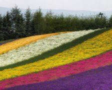 2017年中秋节是哪一天 2017年中秋节是阳历几月几号