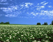 2017年腊八节是哪一天 2017年腊八节是阳历几月几号