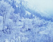 2017年普贤菩萨诞辰是哪一天 2017年普贤菩萨诞辰是公历几月几号