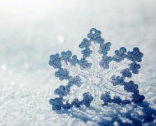 2017年韦陀菩萨诞辰是哪一天 2017年韦陀菩萨诞辰是公历几月几号