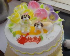 2017年属鸡女孩小名大全最新版的