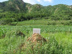 房子后面有墓地怎么破解