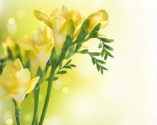 回族有哪些传统节日