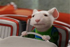 属鼠适合住几楼吉利 属鼠住几层风水最好