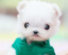 公司起名：店铺起名吉凶如何看
